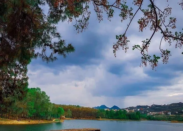 公寓 Cozy Flat Near Air Albania Stadium 2 *