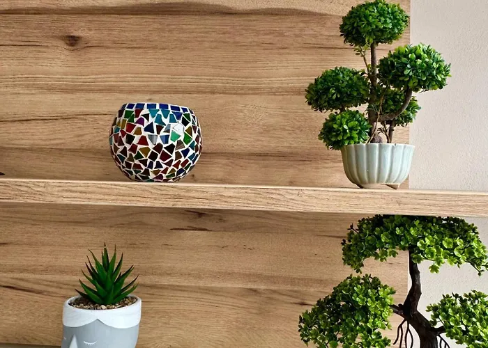 公寓 Cozy Flat Near Air Albania Stadium 2 *